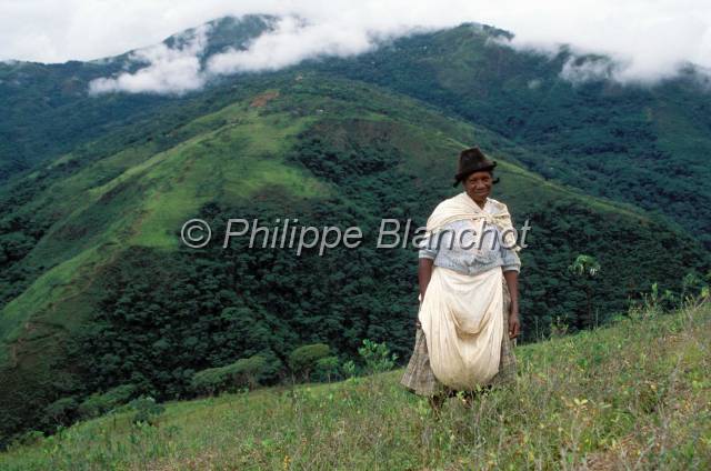 yungas bolivie  11.JPG - Femme Morena (Noire) dans une plantation de cocaiersYungas de Bolivie